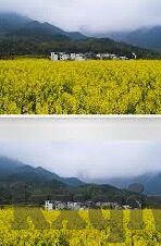 超碰成人福利视频-成人娱乐内容与网络伦理的边界探讨