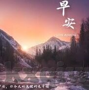 麻豆视传媒在线播放-麻豆视传媒，在线观看的多样魅力