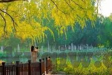 人人骑人妻-探索人妻角色的多元维度，在爱与尊重中寻找平衡