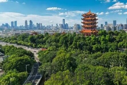最好看的2019中文字幕-2019年最佳中文字幕电影，视觉与情感的双重盛宴